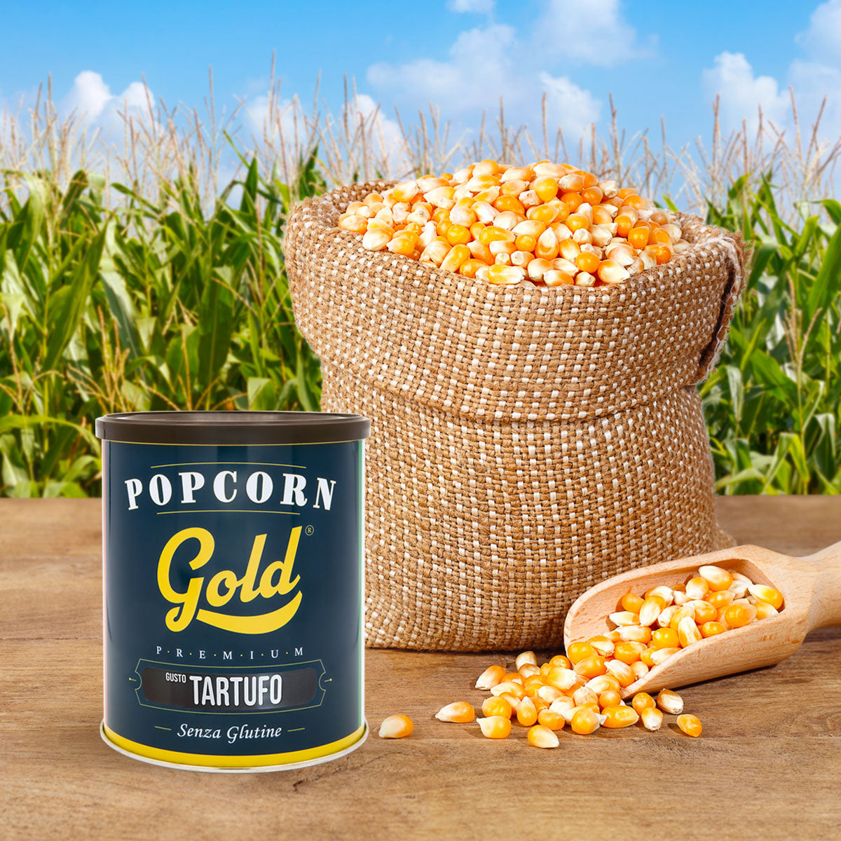 POPCORN GOLD TARTUFO - 12 BARATTOLI